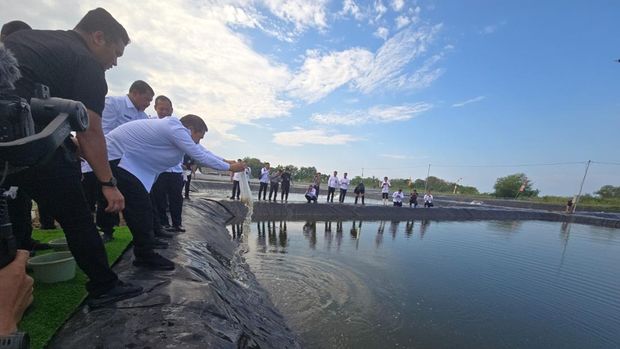 Menteri Imipas (Audrey/detikcom)