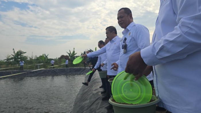 Menteri Imipas (Audrey/detikcom)