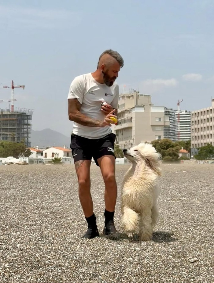 Nilo si anjing penjaga pantai Spanyol Nilo si anjing penjaga pantai Spanyol