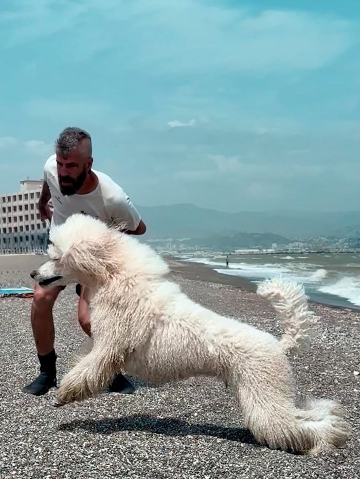 Nilo si anjing penjaga pantai Spanyol Nilo si anjing penjaga pantai Spanyol