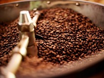 Ini Dia 8 Biji Kopi Terbaik di Indonesia, Ada Favoritmu?