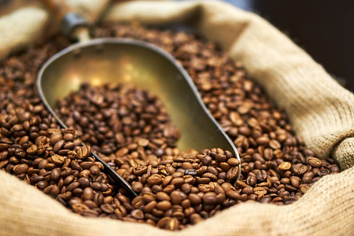 7 Varietas Kopi Spesial dengan Bentuk Biji Berbeda