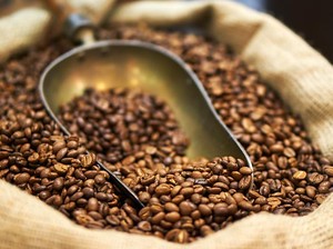 7 Varietas Kopi Spesial dengan Bentuk Biji Berbeda