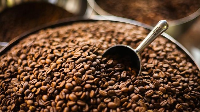 7 Varietas Kopi Spesial dengan Bentuk Biji Berbeda