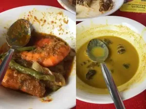 Pesan Dua Lauk di Warung Makan, Wanita Ini Kaget Harganya Rp 423 Ribu