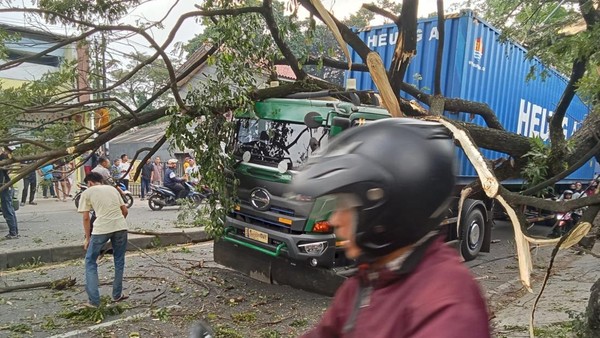 Pohon Tumbang karena Tersangkut Truk di Depok, Sempat Bikin Lalin Macet