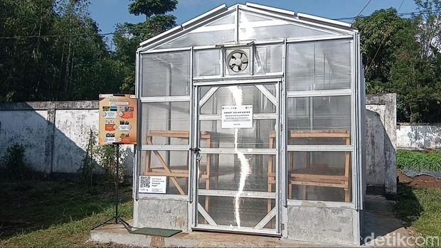 Smart Solar Dryer, teknologi demi efisiensi pascapanen kopi Lahat dan Pagaralam karya Polsri.