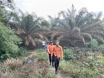 Tim SAR Gabungan Cari Pemuda Babel yang Hilang 4 Hari di Kebun Sawit