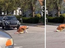 Aksi Nyeleneh Influencer demi Views yang Bikin Geleng Kepala