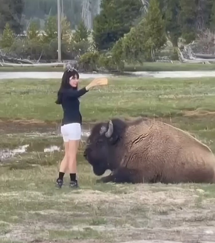 Aksi nyeleneh influencer