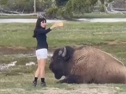 Aksi Nyeleneh Influencer demi Views yang Bikin Geleng Kepala