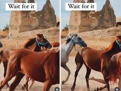 Aksi Nyeleneh Influencer demi Views yang Bikin Geleng Kepala