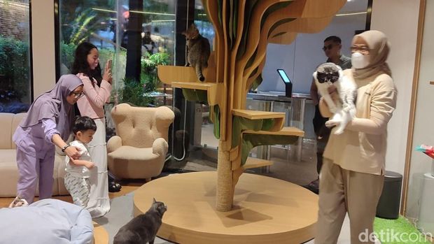 Cat Lounge di Habitat Park SCBD
