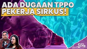 Dugaan Eksploitasi Mantan Pekerja Sirkus OCI