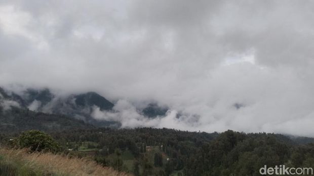 Fasilitas Artotel Cabin Bromo