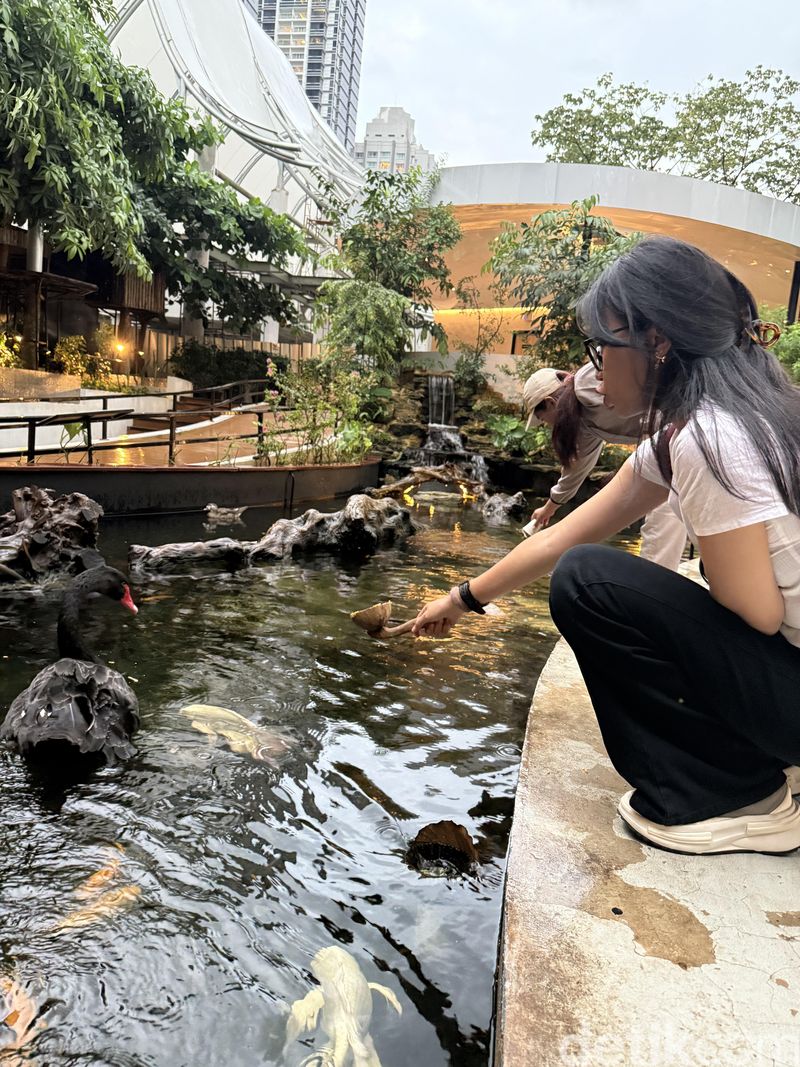 Habitat Park SCBD