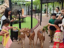 Habitat Park SCBD, Taman Hewan di Tengah Gedung Pencakar Langit