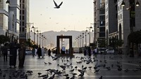 Beberapa orang berdiri di sekitar burung-burung merpati yang terbang di bulevar sekitar Masjid Nabawi, Madinah, Arab Saudi, Rabu (18/6/2025). Foto: ANTARA FOTO/Andika Wahyu
