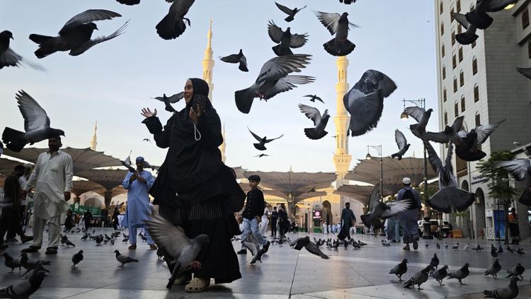 Kawanan Merpati Semarakkan Suasana Bulevar Masjid Nabawi
