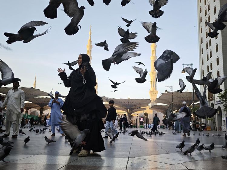 Kawanan Merpati Semarakkan Suasana Bulevar Masjid Nabawi