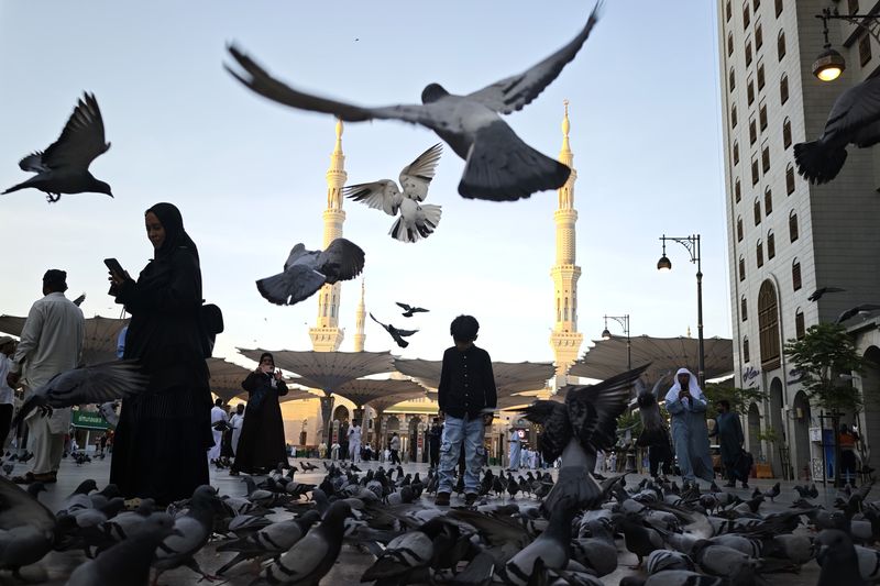 Beberapa orang berdiri di antara burung-burung merpati yang terbang di bulevar sekitar Masjid Nabawi, Madinah, Arab Saudi, Rabu (18/6/2025). Ratusan burung merpati liar yang terbang bebas menjadi daya tarik di area tersebut bagi para pengunjung ANTARA FOTO/Andika Wahyu/tom.