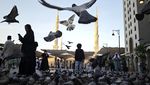 Kawanan Merpati Semarakkan Suasana Bulevar Masjid Nabawi