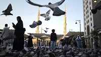 Merpati-merpati liar terbang rendah di sekitar kompleks Masjid Nabawi, menciptakan pemandangan yang menenangkan bagi para jamaah. Foto: ANTARA FOTO/Andika Wahyu