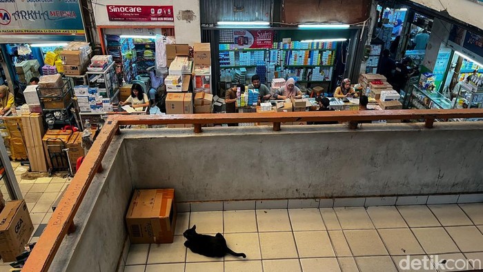 Pasar Pramuka Ditata, Siap Tertib Obat dan Terintegrasi LRT Pengunjung terlihat beraktivitas seperti biasa di Pasar Pramuka, Jakarta, Rabu (18/6/2025). Pasar ini dikenal sebagai salah satu sentra perdagangan obat dan alat kesehatan di ibu kota.