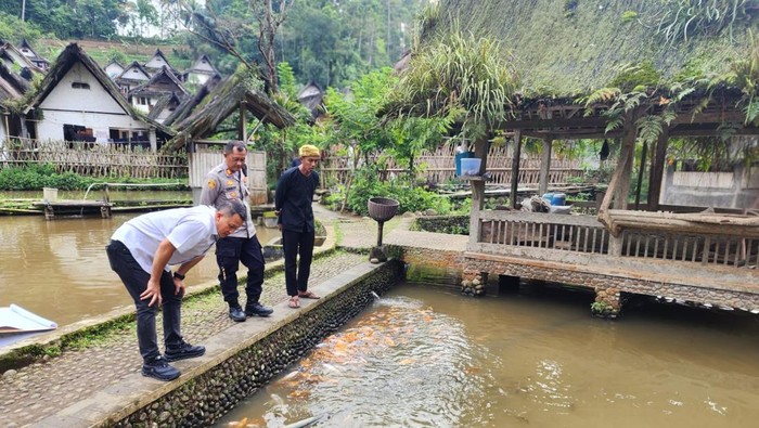 Polisi melakukan penyelidikan ikan udikan yang mati massal di kampung naga