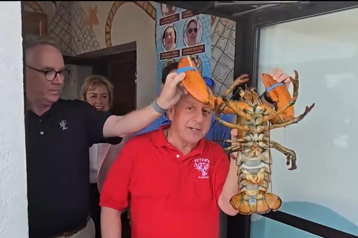 Resto Ini Lepaskan ‘Maskot’ Lobster Berusia 110 Tahun ke Laut