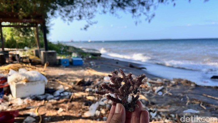 Tumpukan sampah sisa aktivitas penangkaran terumbu karang di pesisir pantai Bangsring, Wongsorejo, Banyuwangi.