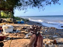 Sampah Pantai Bangsring Berserakan di Tengah Gerakan Wisata Bersih