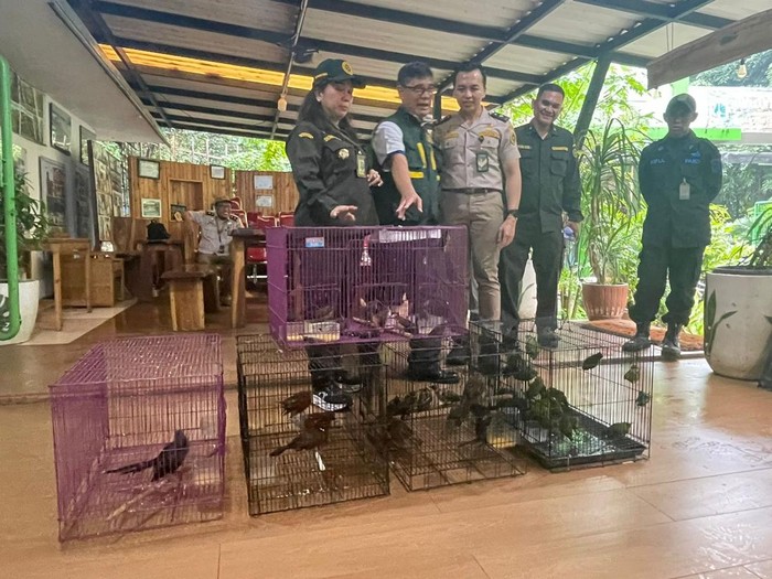 Badan Karantina Gagalkan Penyelundupan burung Ilegal di Merak (istimewa)
