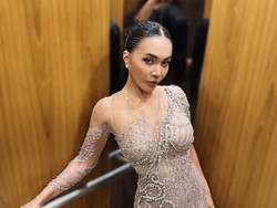 Foto: Perbedaan Wajah Denada Before-After Oplas, Jadi Bak Beda Orang