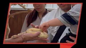 Video: Nggak Nyangka! Ada Ular-Rusa di Tengah Kawasan SCBD