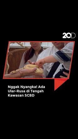 Video: Nggak Nyangka! Ada Ular-Rusa di Tengah Kawasan SCBD