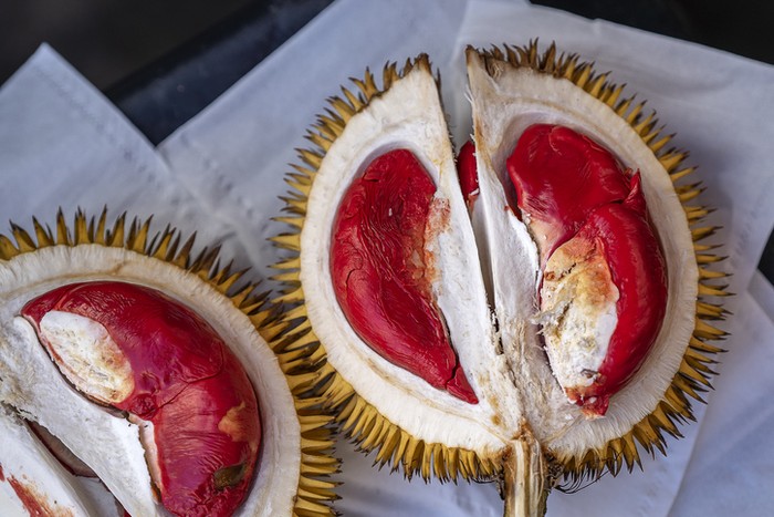 Durian udang merah
