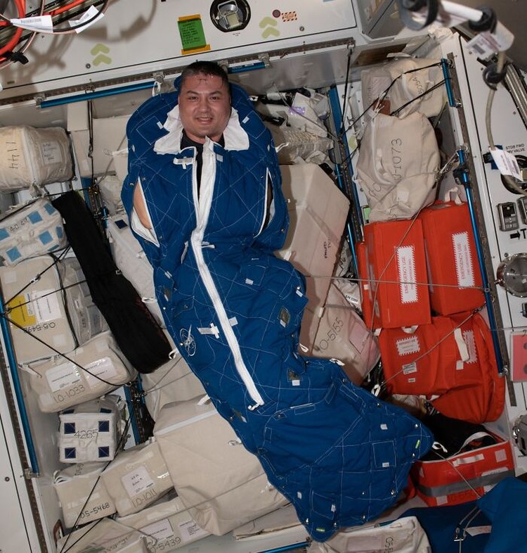 Fakta Astronot