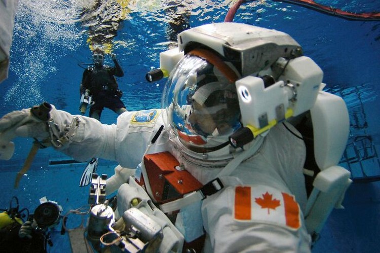 Fakta Astronot