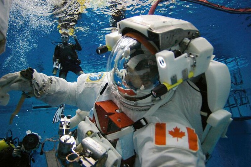 Fakta Astronot