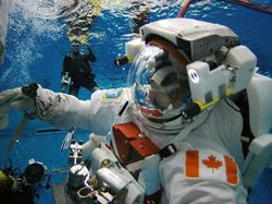 Terungkap! Fakta Aneh Astronaut di Luar Angkasa yang Jarang Diketahui