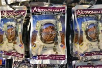 Fakta Astronot