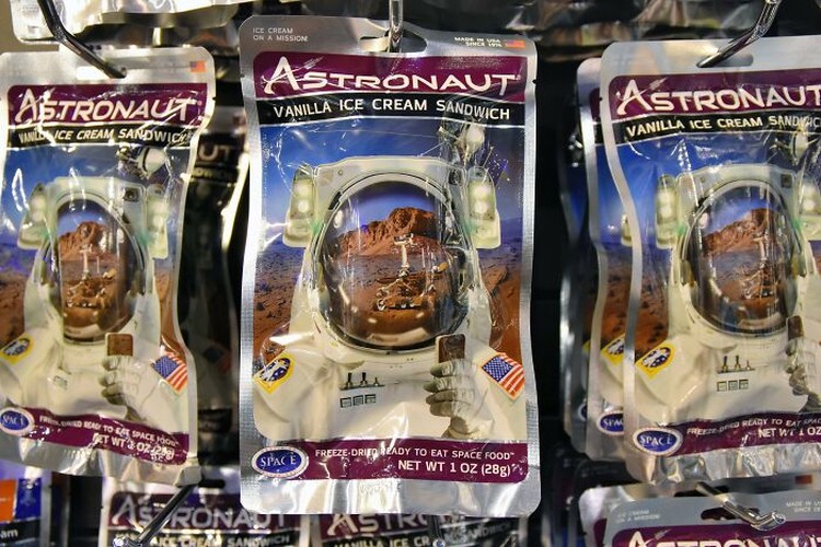 Fakta Astronot