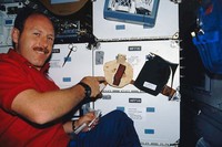 Fakta Astronot