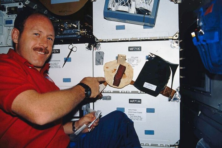 Fakta Astronot