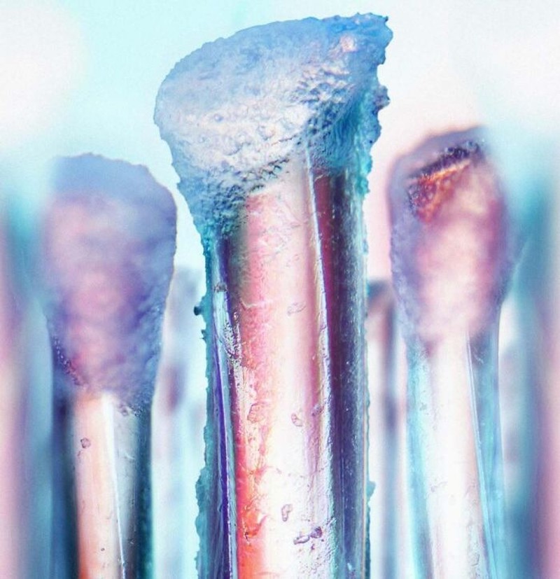 Foto di Bawah Mikroskop