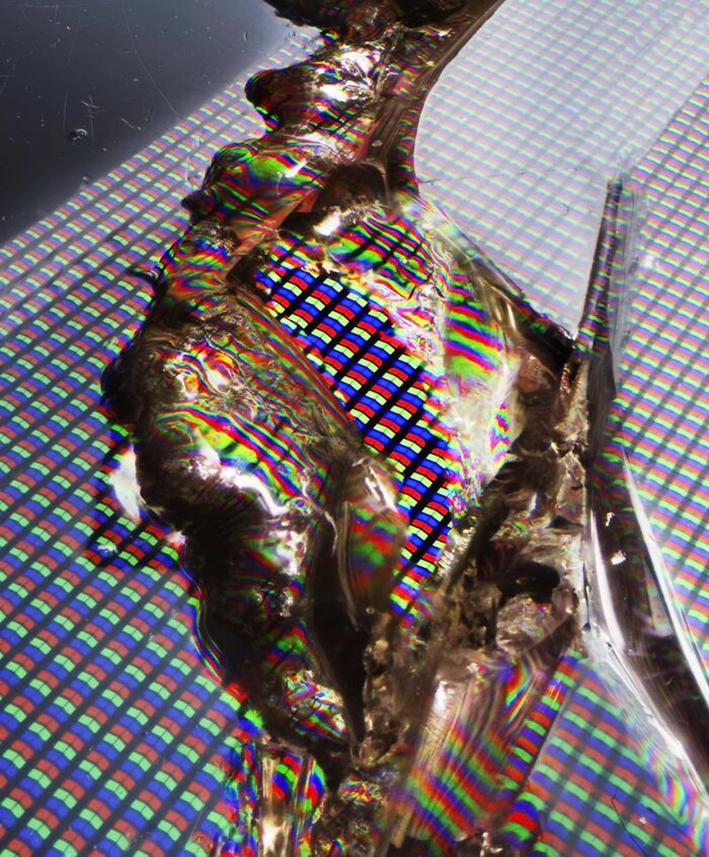 Foto di Bawah Mikroskop