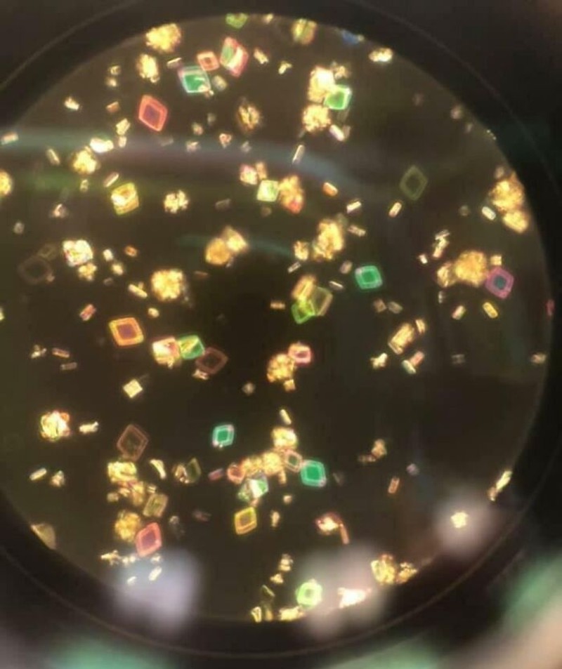 Foto di Bawah Mikroskop