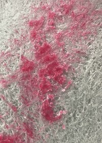 Foto di Bawah Mikroskop