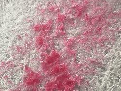 Dilihat Pakai Mikroskop, Tampilan Benda Ini Bikin Shock!